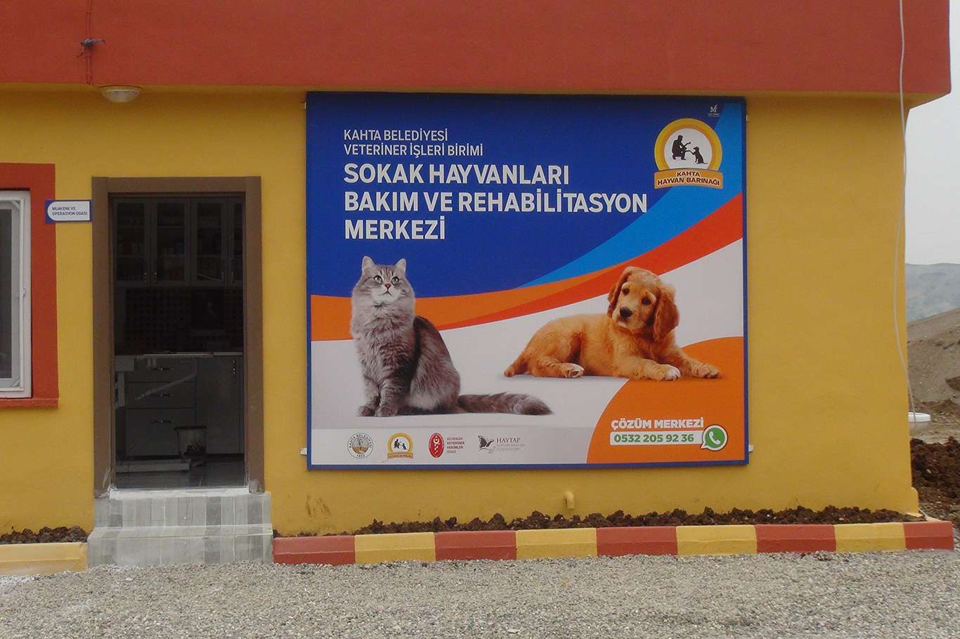 Salgın döneminde sokak hayvanlarını sahiplenme arttı